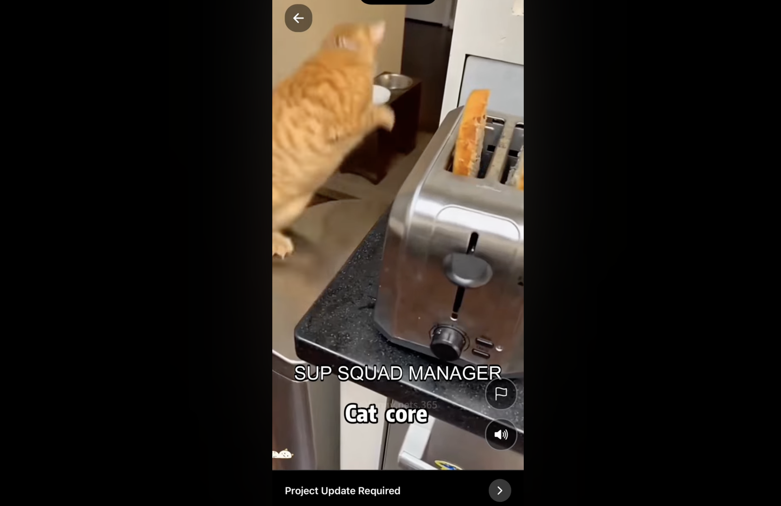 Squad Manager Message