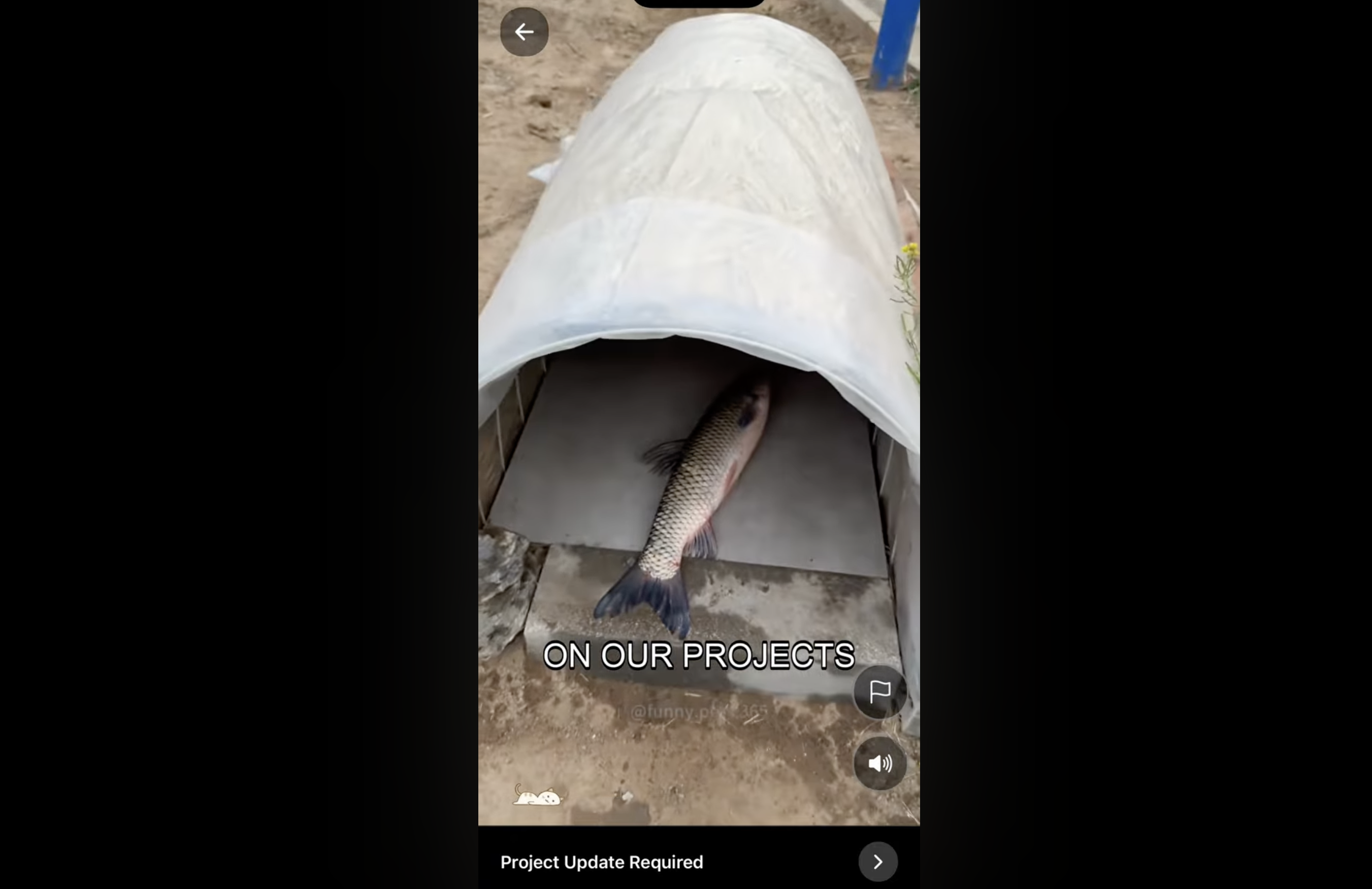 Project Debrief Message